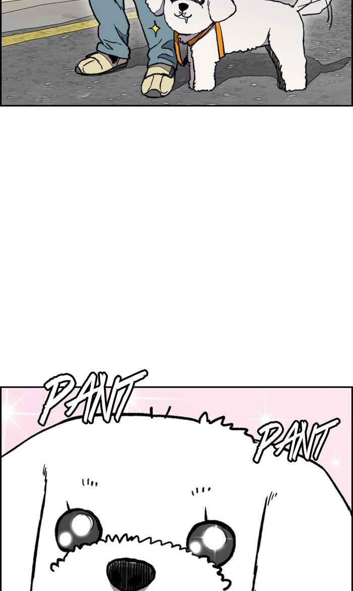 52