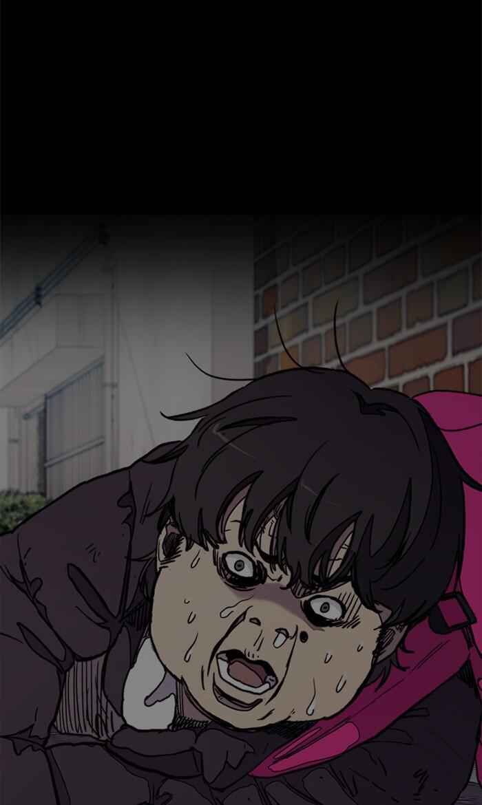 81