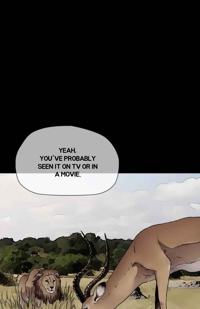 80
