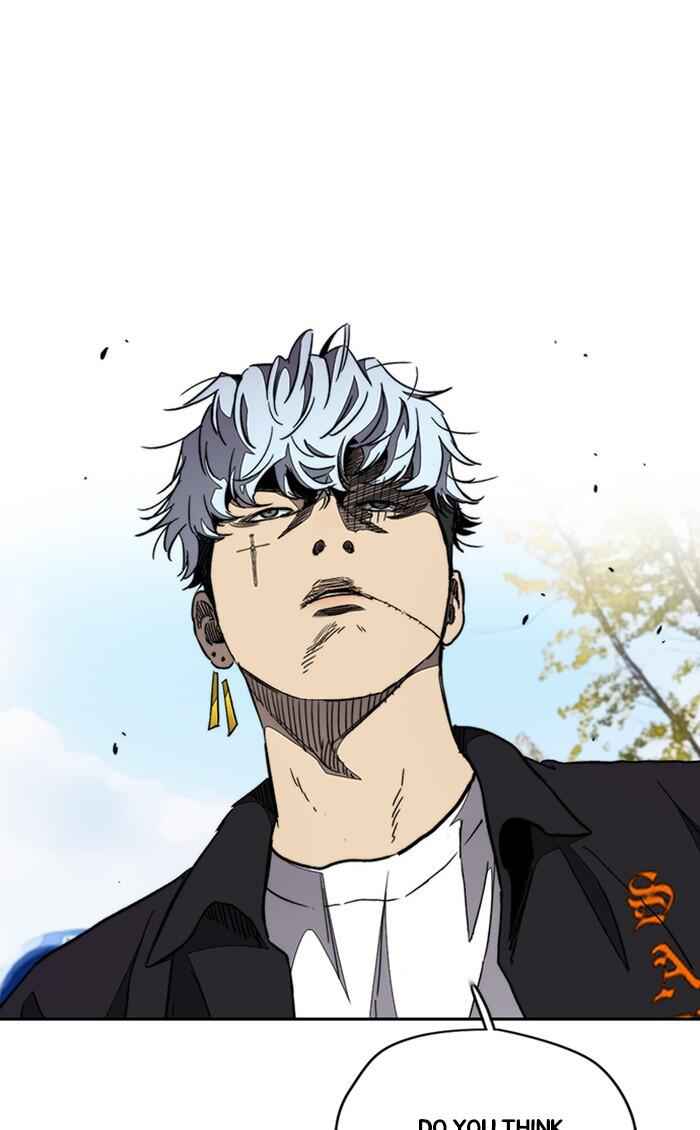 81