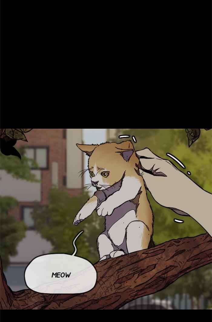 66