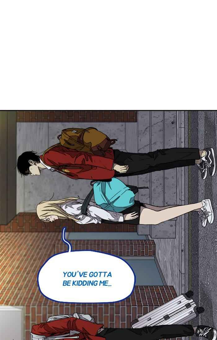 113