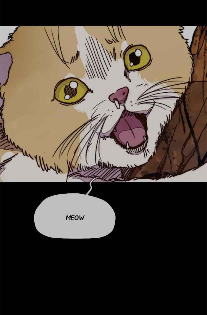 64