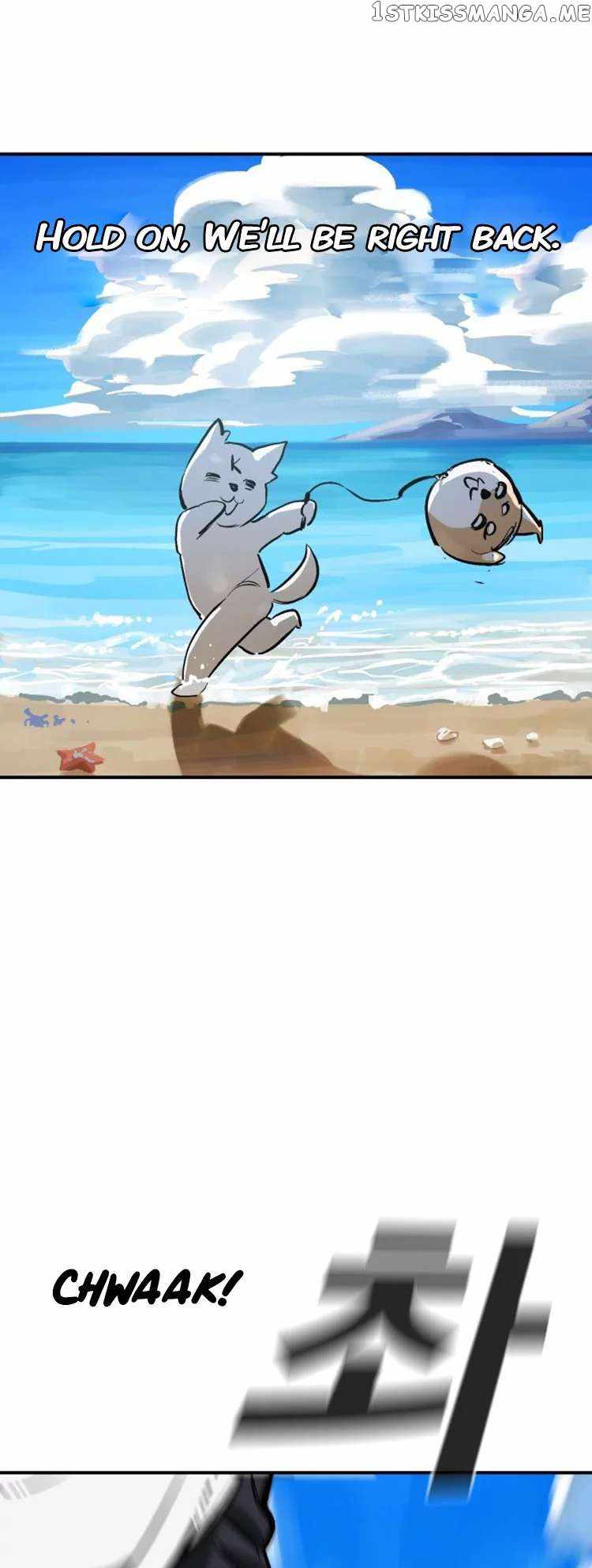 66