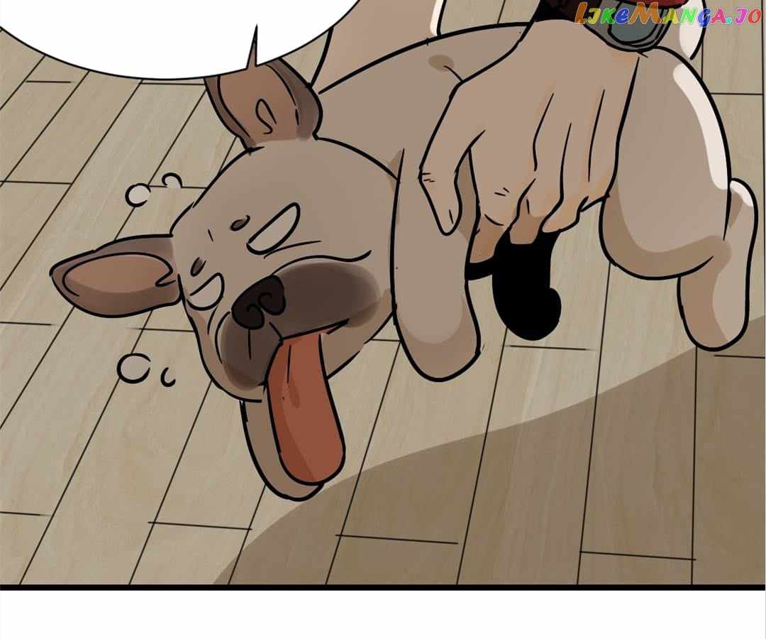 61