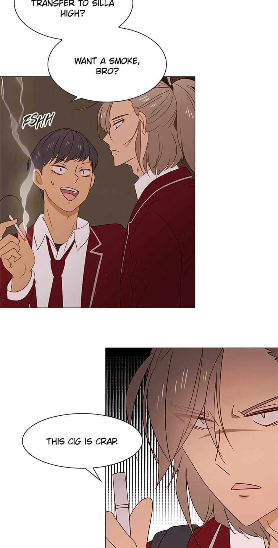 41