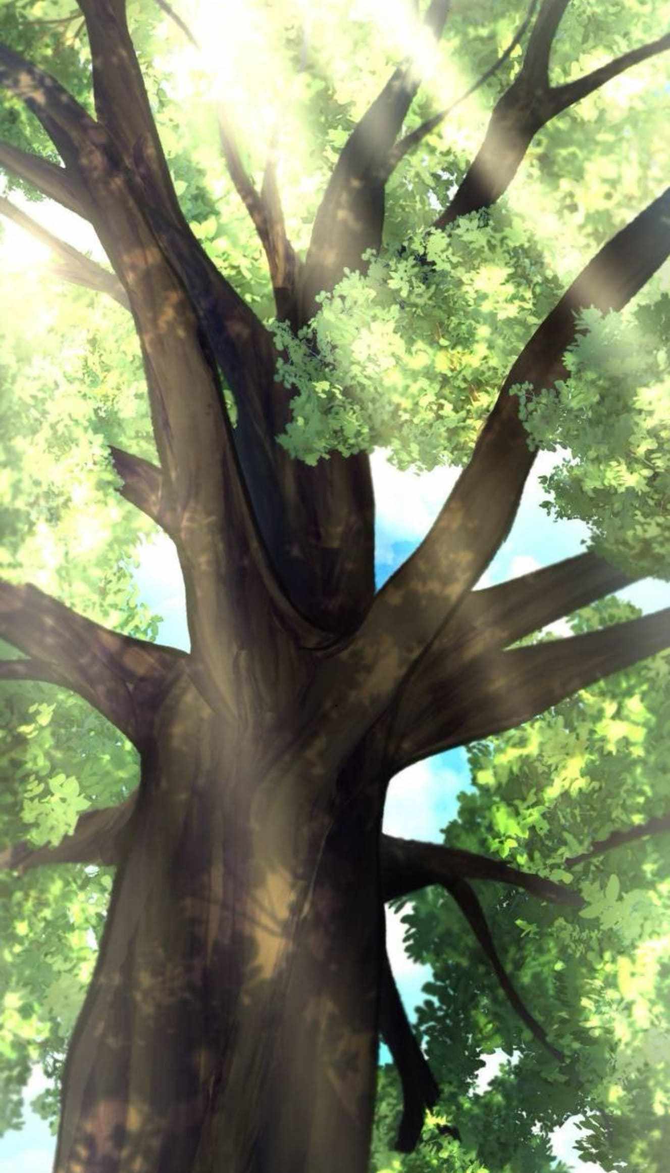 65