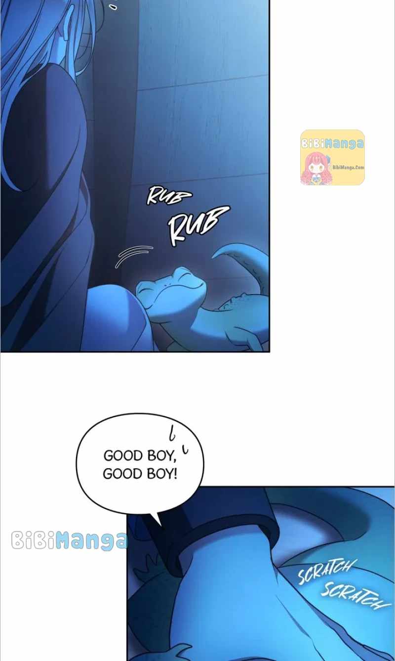 64