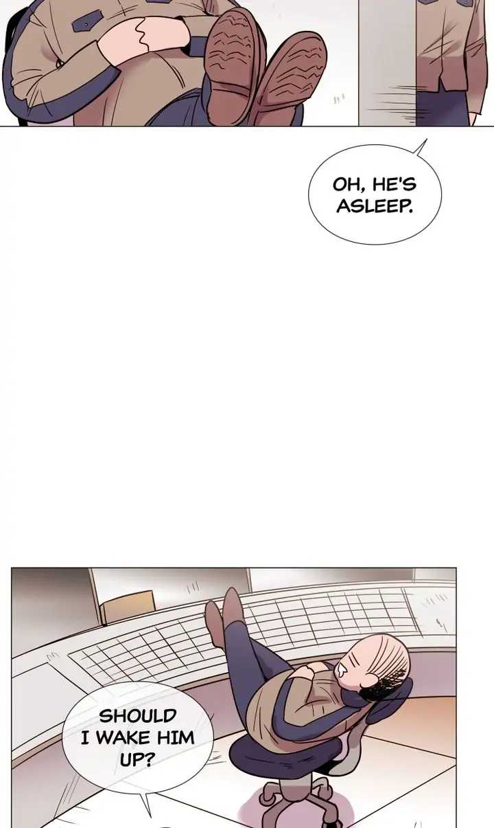 43