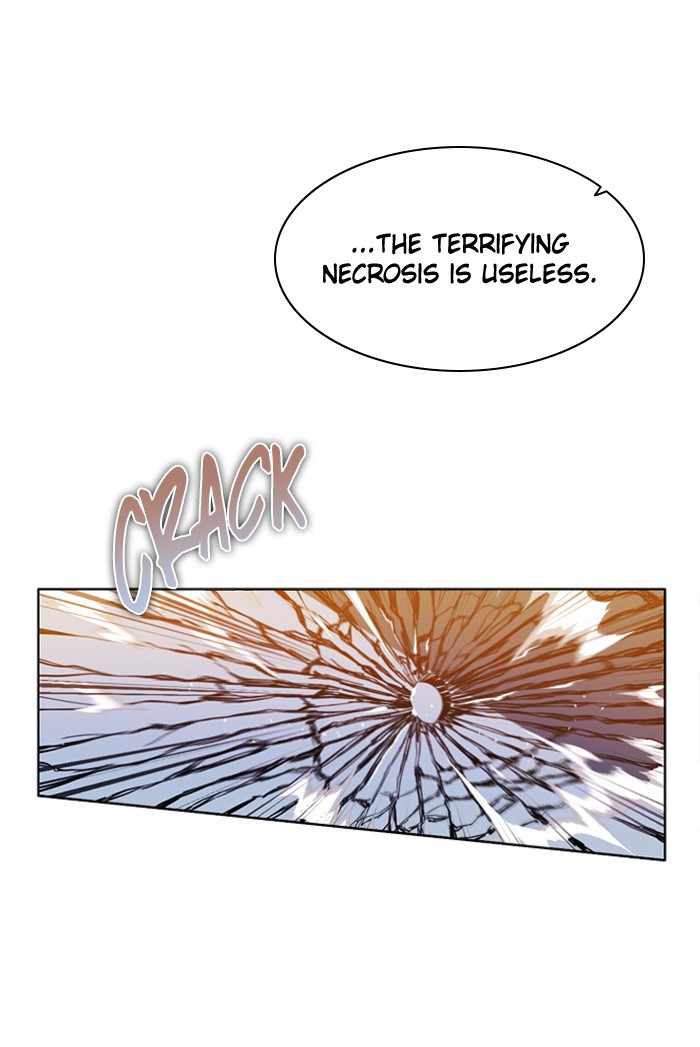 81