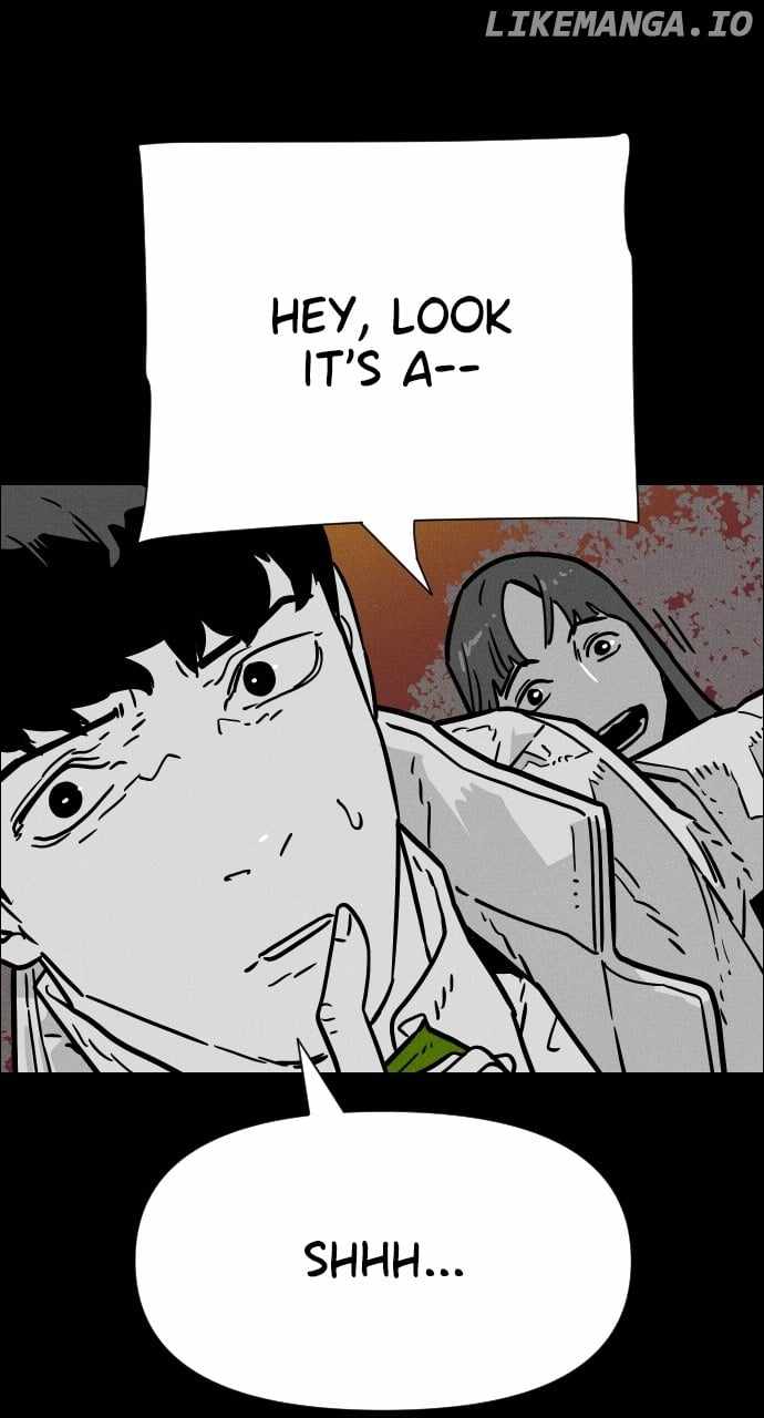 146